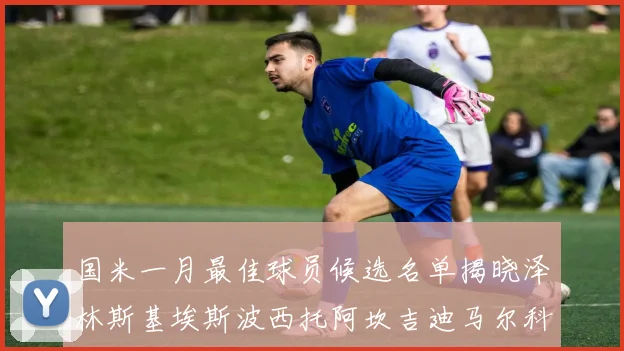 国米一月最佳球员候选名单揭晓泽林斯基埃斯波西托阿坎吉迪马尔科争夺荣誉