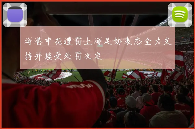 海港申花遭罚上海足协表态全力支持并接受处罚决定