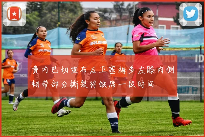 费内巴切宣布后卫塞梅多左膝内侧韧带部分撕裂将缺席一段时间